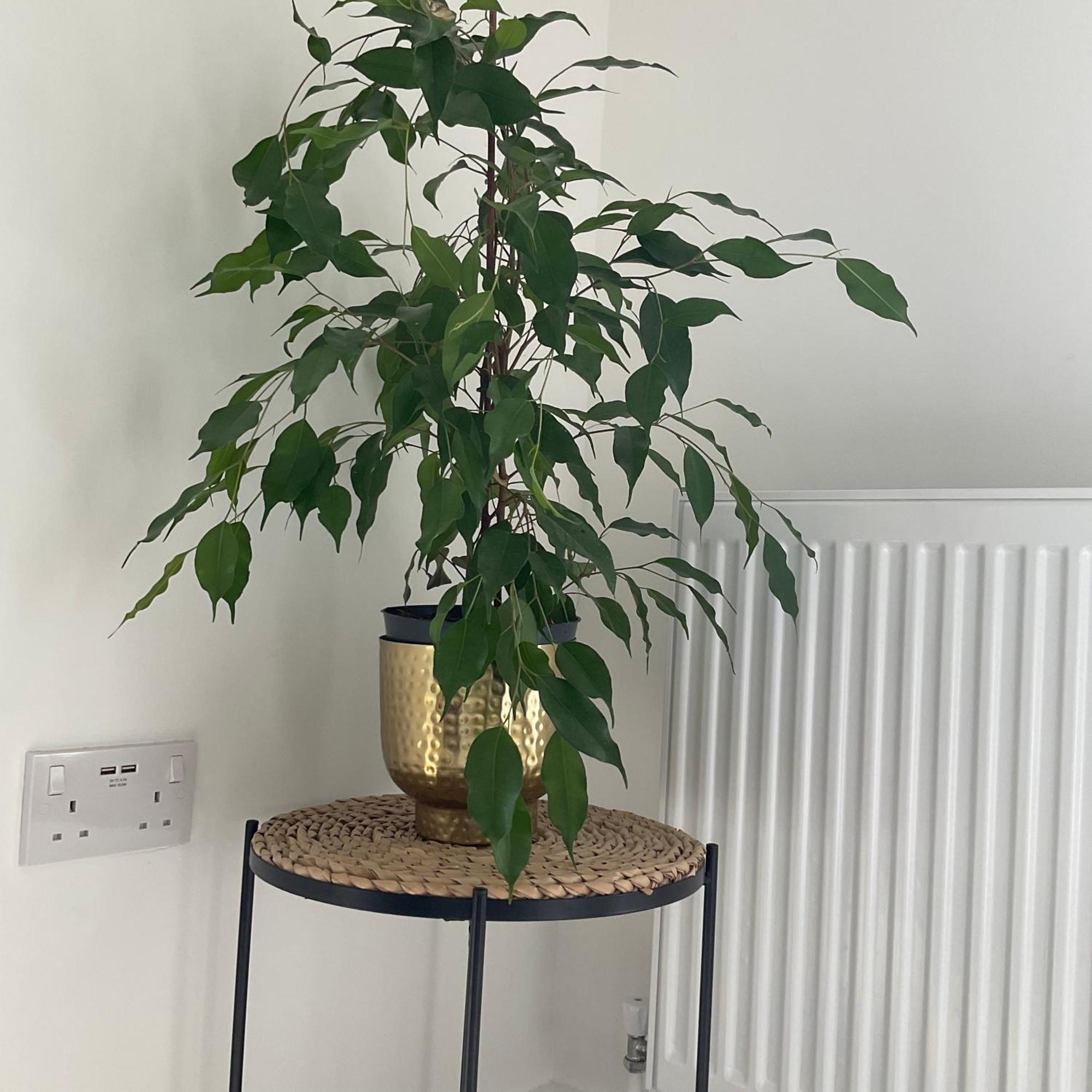 The Parkes A Stylish 3Br House, 5 Mins From Central Birmingham Close To The Edgbaston Stadium, The Hippodrome, Uob, Aston And Bcu, China Town, Kings Heath Bhx Airport And Much More Dış mekan fotoğraf